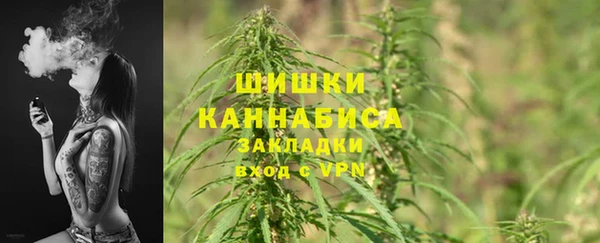 шишки Беломорск