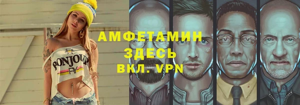 шишки Беломорск
