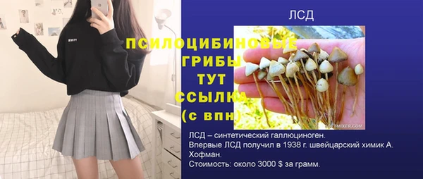 шишки Беломорск