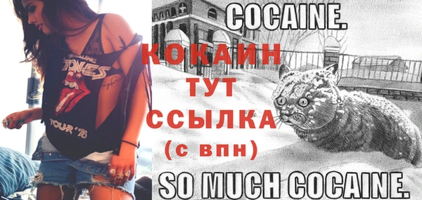 шишки Беломорск
