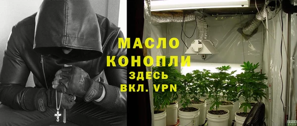 шишки Беломорск